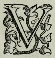 An illustration from Iacobi Philippi Tomasini patauini episcopi aemoniensis Elogia virorum literis & sapientia illustrium ad viuum expressis imaginibus exornata (1644)