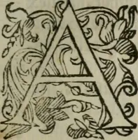 An illustration from Iacobi Philippi Tomasini Patavini Illvstrivm virorvm elogia iconibvs exornata .. (1630)