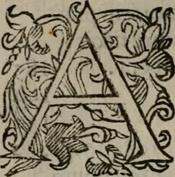 An illustration from Iacobi Philippi Tomasini Patavini Illvstrivm virorvm elogia iconibvs exornata .. (1630)
