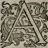 An illustration from Iacobi Philippi Tomasini Patavini Illvstrivm virorvm elogia iconibvs exornata .. (1630)