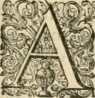 Picture 24 of 50 from Ian Harmensz Kruls Minne-spiegel ter deughden (1639), leaf 218