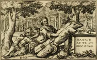 Picture 28 of 55 from Iani Iacobi Boissardi vesvntini Emblematum liber (1593), leaf 66