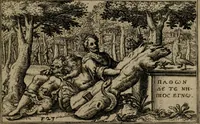 Picture 23 of 48 from Iani Iacobi Boissardi Vesuntini Emblematum liber (1593), leaf 70