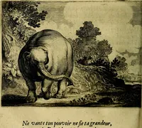 Picture 48 of 87 from Ian vander Veens zinne-beelden, oft Adams appel. Verciert met seer aerdige const-plaeten mesgagers syne oude ende nieuwe ongemeene bruydt-lofs ende zege-zangen... (1642), leaf 235