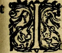 An illustration from Ian vander Veens zinne-beelden, oft Adams appel. Verciert met seer aerdige const-plaeten mesgagers syne oude ende nieuwe ongemeene bruydt-lofs ende zege-zangen... (1642)
