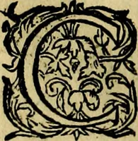 An illustration from Ian vander Veens zinne-beelden, oft Adams appel. Verciert met seer aerdige const-plaeten mesgagers syne oude ende nieuwe ongemeene bruydt-lofs ende zege-zangen... (1642)