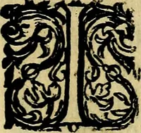 Picture 87 of 87 from Ian vander Veens zinne-beelden, oft Adams appel. Verciert met seer aerdige const-plaeten mesgagers syne oude ende nieuwe ongemeene bruydt-lofs ende zege-zangen... (1642), leaf 538