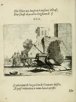 Picture 25 of 52 from Ian vander Veens Zinne-beelden, oft Adams appel : verciert met seer aerdige const-plaeten ; mitsgaders syne oude ende nieuwe ongemeene bruydt-lofs ende zege-zangen (1642), leaf 126