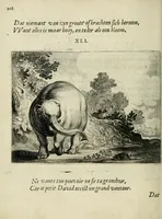 Picture 43 of 52 from Ian vander Veens Zinne-beelden, oft Adams appel : verciert met seer aerdige const-plaeten ; mitsgaders syne oude ende nieuwe ongemeene bruydt-lofs ende zege-zangen (1642), leaf 242