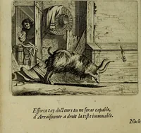 Picture 36 of 82 from Ian van der Veens Zinne-beelden oft Adams appel (1642), leaf 173