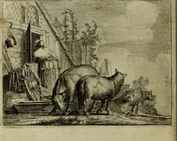 An illustration from Ian van der Veens Zinne-beelden oft Adams appel (1642)
