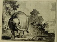 Picture 46 of 82 from Ian van der Veens Zinne-beelden oft Adams appel (1642), leaf 235