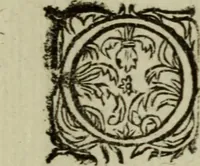 Picture 64 of 82 from Ian van der Veens Zinne-beelden oft Adams appel (1642), leaf 377