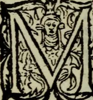 An illustration from Ian van der Veens Zinne-beelden oft Adams appel (1642)