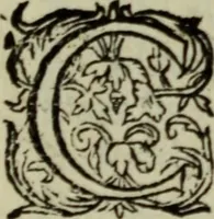 An illustration from Ian van der Veens Zinne-beelden oft Adams appel (1642)