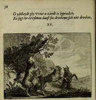 Picture 20 of 82 from Ian van der Veens Zinne-beelden oft Adams appel (1642), leaf 85