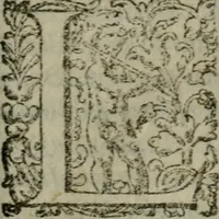 Picture 29 of 36 from I capitani. Con alcuni discorsi curiosi (1607), leaf 222