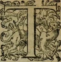 An illustration from I capitani. Con alcuni discorsi curiosi (1607)