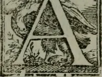 Picture 5 of 21 from I carichi militari di frà Lelio Brancaccio .. (1620), leaf 11