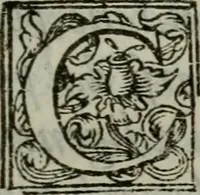 An illustration from I carichi militari di frà Lelio Brancaccio .. (1620)
