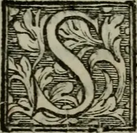 An illustration from I carichi militari di frà Lelio Brancaccio .. (1620)