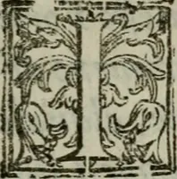 An illustration from I carichi militari di frà Lelio Brancaccio .. (1620)