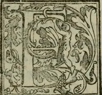 An illustration from I carichi militari di frà Lelio Brancaccio .. (1620)