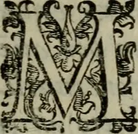 An illustration from I carichi militari di frà Lelio Brancaccio .. (1620)