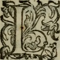 An illustration from I carichi militari di frà Lelio Brancaccio .. (1620)