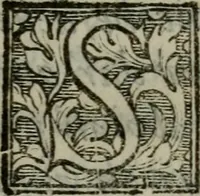 An illustration from I carichi militari di frà Lelio Brancaccio .. (1620)