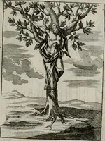 An illustration from Ichnographia emblematica triplicis ad Deum Tri-unum mysticae viae, purgativae, illuminativae, unitivae : splendoribus sanctorum, virtutibus eorum, divinisque charismatibus illustrata, in quinque partes divisa ... (1779)