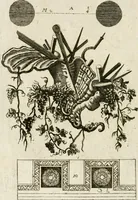 An illustration from I cinque ordini di architettura di Andrea Palladio : esposti per un' esatta istruzione di chi ama e coltiva questa bella utilissima arte (1800)