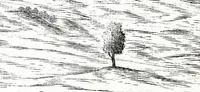 An illustration from I commentari di C. Givlio Cesare : con le figvre in rame de gli alloggiamenti, de' fatti d'arme, delle circonuallationi delle città, & di molte altre cose notabili descritte in essi (1598)