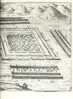 Picture 19 of 34 from I commentari di C. Givlio Cesare : con le figvre in rame de gli alloggiamenti, de' fatti d'arme, delle circonuallationi delle città, & di molte altre cose notabili descritte in essi (1598), leaf 295