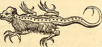 Picture 135 of 971 from Icones animalium quadrupedum uiuiparorum et ouiparorum : quae in Historiae animalium Conradi Gesneri libro I. et II. describuntur, cum nomenclaturis singulorum latinis, graecis, italicis, gallicis, et germanicis plerunque, et aliarum quoque linguarum, certis ordinibus digestae (1560), leaf 128