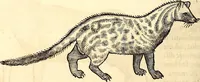 An illustration from Icones animalium quadrupedum uiuiparorum et ouiparorum : quae in Historiae animalium Conradi Gesneri libro I. et II. describuntur, cum nomenclaturis singulorum latinis, graecis, italicis, gallicis, et germanicis plerunque, et aliarum quoque linguarum, certis ordinibus digestae (1560)