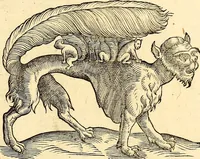 An illustration from Icones animalium quadrupedum uiuiparorum et ouiparorum : quae in Historiae animalium Conradi Gesneri libro I. et II. describuntur, cum nomenclaturis singulorum latinis, graecis, italicis, gallicis, et germanicis plerunque, et aliarum quoque linguarum, certis ordinibus digestae (1560)