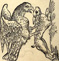 Picture 151 of 971 from Icones animalium quadrupedum uiuiparorum et ouiparorum : quae in Historiae animalium Conradi Gesneri libro I. et II. describuntur, cum nomenclaturis singulorum latinis, graecis, italicis, gallicis, et germanicis plerunque, et aliarum quoque linguarum, certis ordinibus digestae (1560), leaf 149