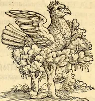 Picture 152 of 971 from Icones animalium quadrupedum uiuiparorum et ouiparorum : quae in Historiae animalium Conradi Gesneri libro I. et II. describuntur, cum nomenclaturis singulorum latinis, graecis, italicis, gallicis, et germanicis plerunque, et aliarum quoque linguarum, certis ordinibus digestae (1560), leaf 150