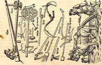 Picture 4 of 971 from Icones animalium quadrupedum uiuiparorum et ouiparorum : quae in Historiae animalium Conradi Gesneri libro I. et II. describuntur, cum nomenclaturis singulorum latinis, graecis, italicis, gallicis, et germanicis plerunque, et aliarum quoque linguarum, certis ordinibus digestae (1560), leaf 19