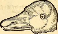 Picture 283 of 971 from Icones animalium quadrupedum uiuiparorum et ouiparorum : quae in Historiae animalium Conradi Gesneri libro I. et II. describuntur, cum nomenclaturis singulorum latinis, graecis, italicis, gallicis, et germanicis plerunque, et aliarum quoque linguarum, certis ordinibus digestae (1560), leaf 224