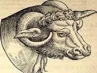 An illustration from Icones animalium quadrupedum uiuiparorum et ouiparorum : quae in Historiae animalium Conradi Gesneri libro I. et II. describuntur, cum nomenclaturis singulorum latinis, graecis, italicis, gallicis, et germanicis plerunque, et aliarum quoque linguarum, certis ordinibus digestae (1560)