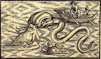 Picture 514 of 971 from Icones animalium quadrupedum uiuiparorum et ouiparorum : quae in Historiae animalium Conradi Gesneri libro I. et II. describuntur, cum nomenclaturis singulorum latinis, graecis, italicis, gallicis, et germanicis plerunque, et aliarum quoque linguarum, certis ordinibus digestae (1560), leaf 413