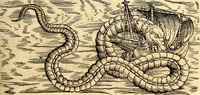 Picture 516 of 971 from Icones animalium quadrupedum uiuiparorum et ouiparorum : quae in Historiae animalium Conradi Gesneri libro I. et II. describuntur, cum nomenclaturis singulorum latinis, graecis, italicis, gallicis, et germanicis plerunque, et aliarum quoque linguarum, certis ordinibus digestae (1560), leaf 414