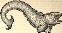 Picture 554 of 971 from Icones animalium quadrupedum uiuiparorum et ouiparorum : quae in Historiae animalium Conradi Gesneri libro I. et II. describuntur, cum nomenclaturis singulorum latinis, graecis, italicis, gallicis, et germanicis plerunque, et aliarum quoque linguarum, certis ordinibus digestae (1560), leaf 437