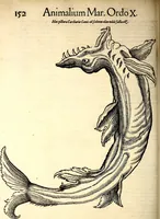 An illustration from Icones animalium quadrupedum uiuiparorum et ouiparorum : quae in Historiae animalium Conradi Gesneri libro I. et II. describuntur, cum nomenclaturis singulorum latinis, graecis, italicis, gallicis, et germanicis plerunque, et aliarum quoque linguarum, certis ordinibus digestae (1560)