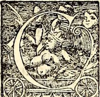 An illustration from Icones animalium quadrupedum uiuiparorum et ouiparorum : quae in Historiae animalium Conradi Gesneri libro I. et II. describuntur, cum nomenclaturis singulorum latinis, graecis, italicis, gallicis, et germanicis plerunque, et aliarum quoque linguarum, certis ordinibus digestae (1560)