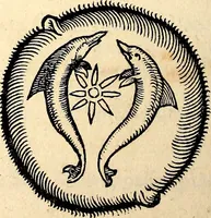 An illustration from Icones animalium quadrupedum uiuiparorum et ouiparorum : quae in Historiae animalium Conradi Gesneri libro I. et II. describuntur, cum nomenclaturis singulorum latinis, graecis, italicis, gallicis, et germanicis plerunque, et aliarum quoque linguarum, certis ordinibus digestae (1560)