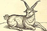 Picture 46 of 971 from Icones animalium quadrupedum uiuiparorum et ouiparorum : quae in Historiae animalium Conradi Gesneri libro I. et II. describuntur, cum nomenclaturis singulorum latinis, graecis, italicis, gallicis, et germanicis plerunque, et aliarum quoque linguarum, certis ordinibus digestae (1560), leaf 49