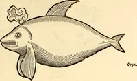 An illustration from Icones animalium quadrupedum uiuiparorum et ouiparorum : quae in Historiae animalium Conradi Gesneri libro I. et II. describuntur, cum nomenclaturis singulorum latinis, graecis, italicis, gallicis, et germanicis plerunque, et aliarum quoque linguarum, certis ordinibus digestae (1560)